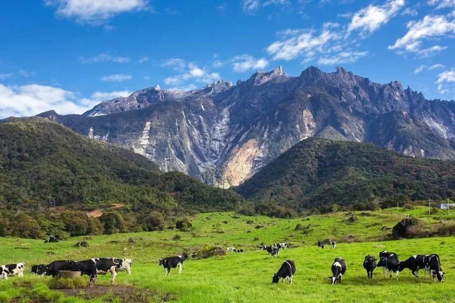 4H 3M KUNDASANG – KOTA KINABALU