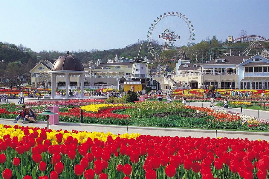 6H 4M KOREA + EVERLAND THEME PARK